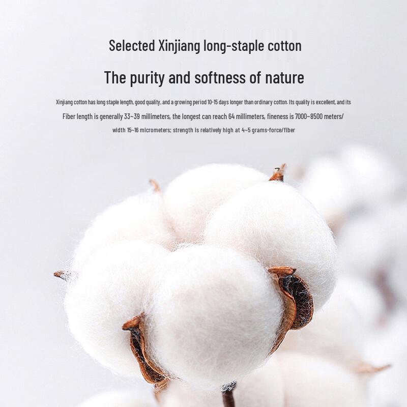 Sevenwolves Men's Pure Cotton Briefs