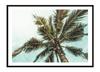 Obraz Plakat W Ramie 33x43 Cm Palma P2246