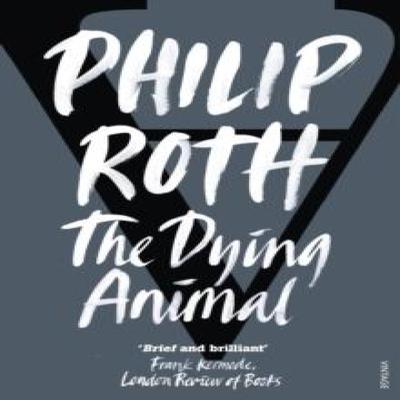 Bücher – Belletristik