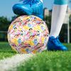 Princess Theme Size 5 Soccer Ball, Suitable for Both Indoor and Outdoor Matches, a Gift Suitable for Everyone.