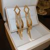 Silver Needle Metal Style Long Zircon Leaf Tassel Earrings Exquisite Fashion Earrings Cold Wind Light Luxury Temperament Earrings