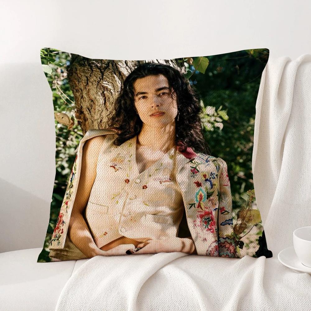 Conan Gray Holidays Pillow Case Natural Linen Organic Fabric Double-Sided Printing Breathable Perfect Gift For Decor