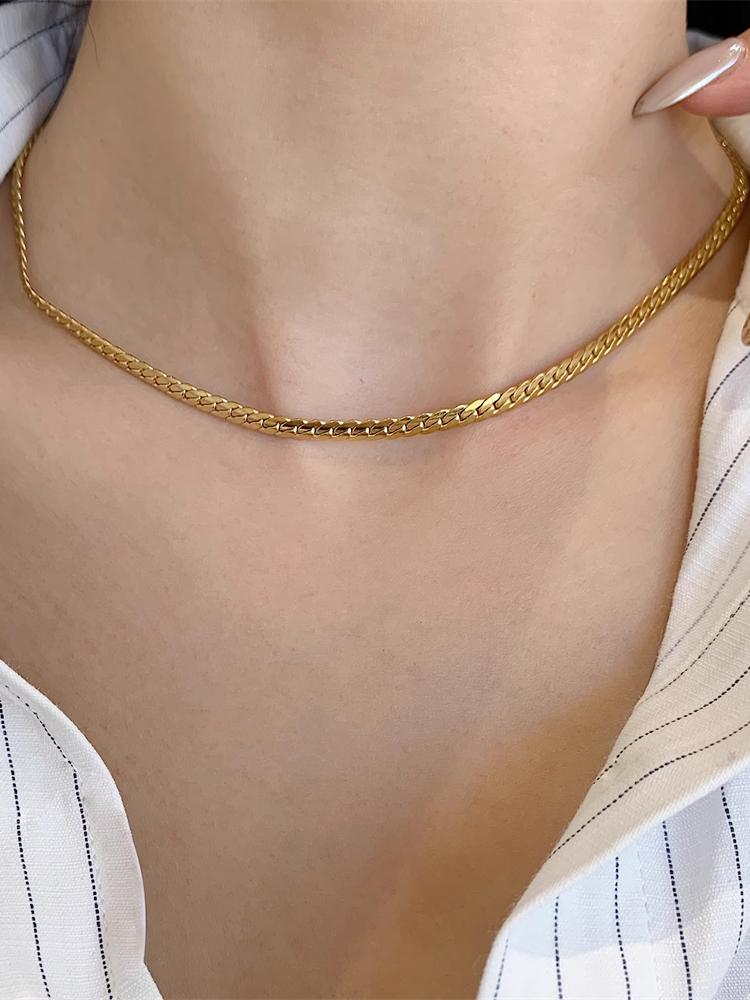 Titanium Steel 18K Gold Minimalist Elegant Horsewhip Clavicle Chain Japanese and Korean Short Necklace Necklace Female Niche Style Snake Bones Chain