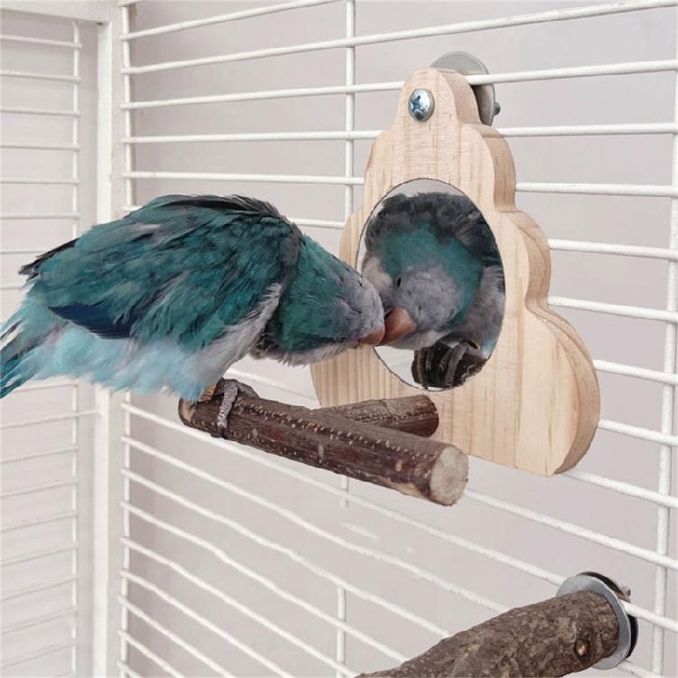Parrots Playstand Climbing Play Ladder Macaws Play Gym Grinding Ground Stand for Cage Exercise and Amusement