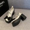 2025 Summer New Coarse Heel Mary Jane Single Shoes Fashion Bowknot Thick Heel Round Toe Pumps Trendy Street Lolita Shoes