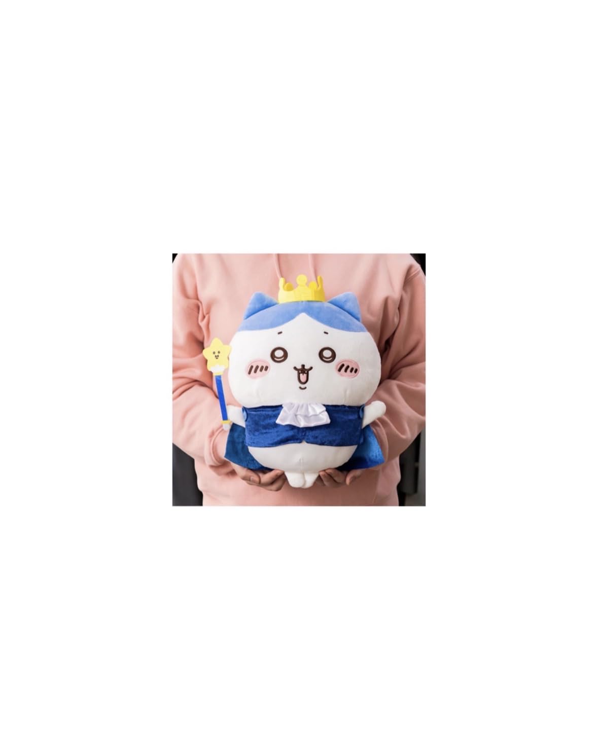 

Birthday BIG Official Plush Toy Hachi
