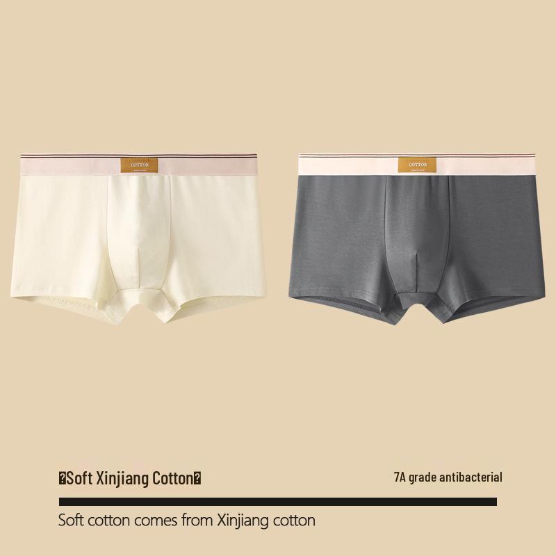 Men's Pure Cotton Antibacterial Boxer Briefs - Breathable Summer Shorts for Teenagers and Boys
