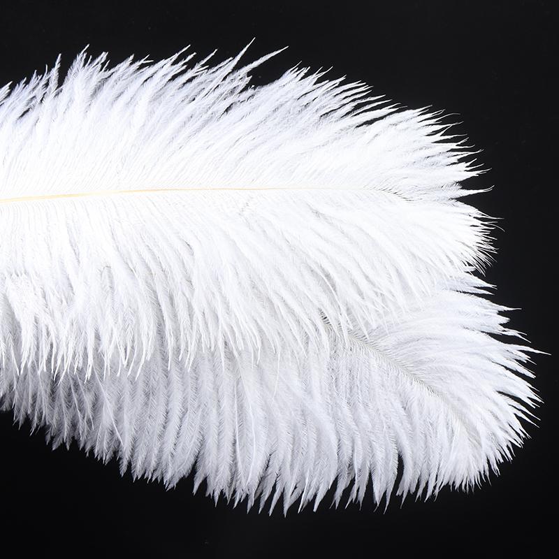 10Pcs 25-30cm Large Ostrich Feather Plume Costume Wedding Xmas Party Decoration