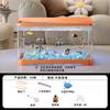 2026 Desktop-Aquarium mit Licht Kleiner Fischbehälter für Wohnzimmer Ökologische Landschaft Goldfischglas All-in-One Kompaktes Aquarium Dekor