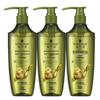 Schwarzkopf Ginger Essence Oil Control Shampoo (3-Pack)