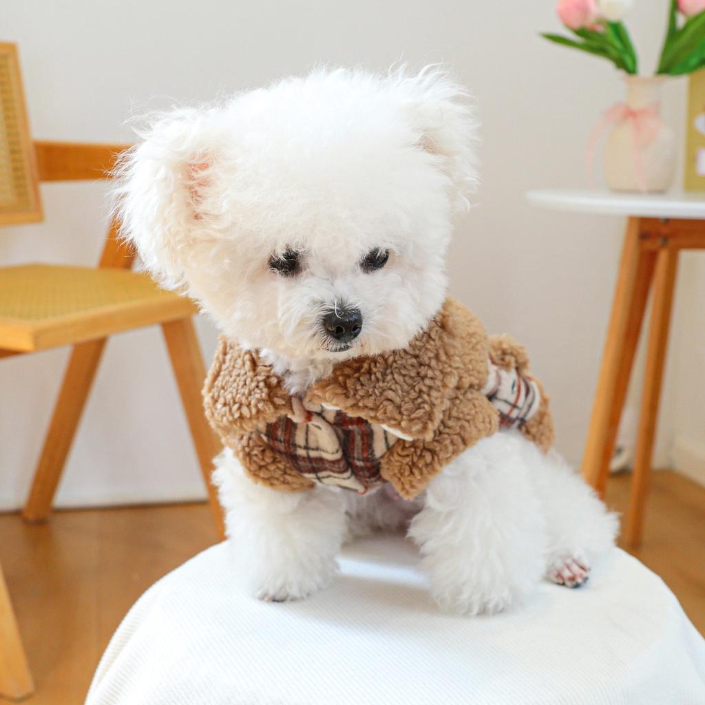 Pet Plaid Woolen Patchwork Lamb Wool Coat Teddy Cat Clothes Autumn and Winter Plaid Coat Two Legged Coat Puppy Clothes