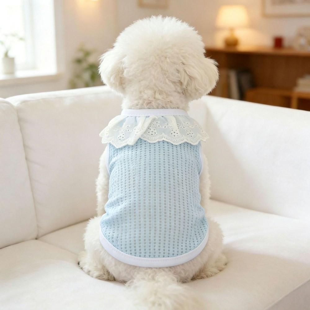 Cat Clothing Thin Breathable Mesh Dog Vest Round Neck Lightweight Dog Cooling Vest Lace Edged Cooling Pet Vest Photography