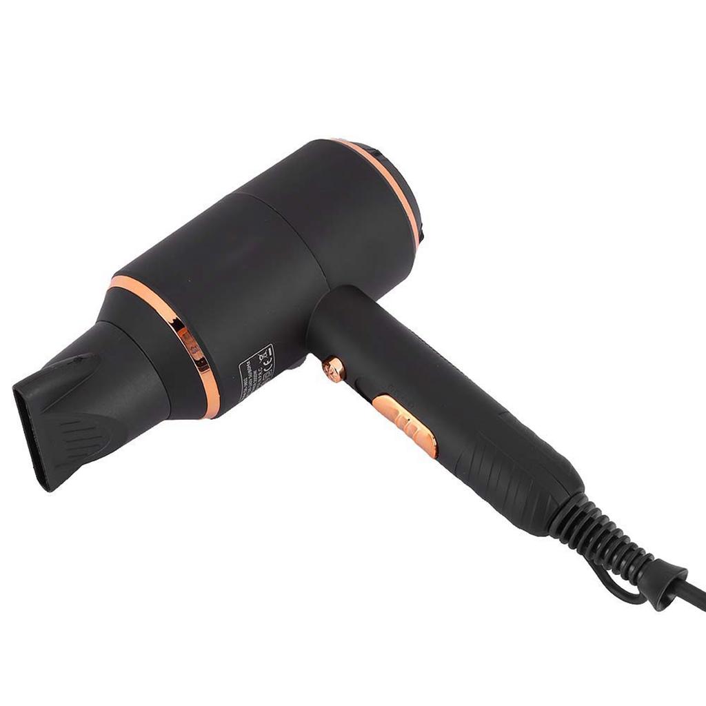 Negative Ion Electric Hair Dryer Strong Power Adjustable Blow Dryer