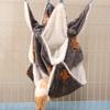 Small Pet Hammock: Cozy Autumn/Winter Sleep Sack for Sugar Gliders, Hamsters, and Squirrels