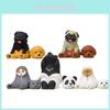 Poppen en knuffels – Poppen accessoires en kleding