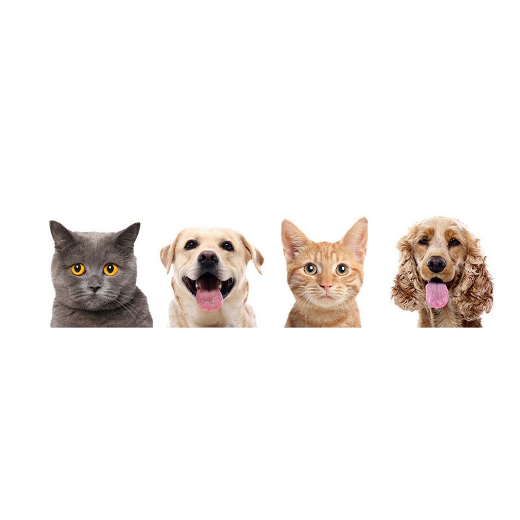 Fun Animal Door Sticker For Kids Room Decorative Sticks Durable PVC Door Decorations Supplies Cartoon Decal
