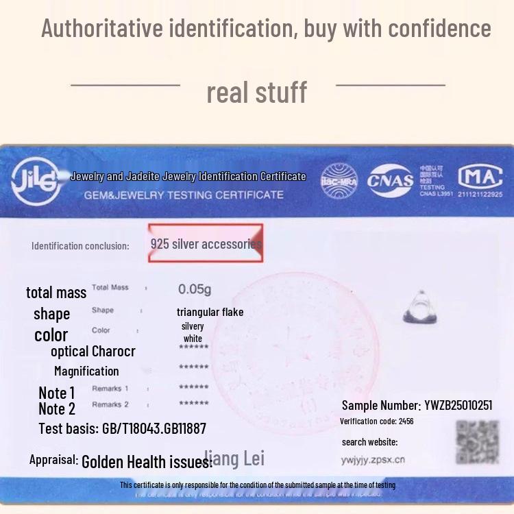 Perles Libres en Argent Sterling 925 pour la Fabrication de Bijoux DIY: Perles intercalaires pour bracelets et colliers