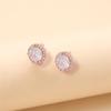 Light Luxury Round Ear Clips, Simple Personality Zircon Rose Gold Ear Clips Earrings