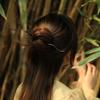 Girl Disk Hair Hanfu For Women Chinese Style Hair Fork Hairpin Hair Accessories Wooden Hair Stick