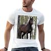 Percheron Thoroughbred Horse Tshirt Anime T Shirts Oversize T Shirts For Unisex Graphic Funny Funny T Shirts Cotton Tshirt