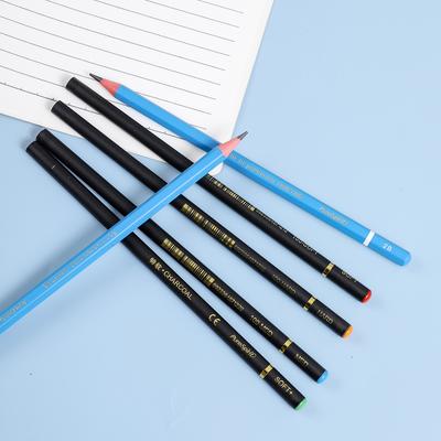 6PCS Professional Charcoal Pencils Set Drawing Soft Medium Hard and 2B Charcoal Pencils for Drawing, Sketching, Shading