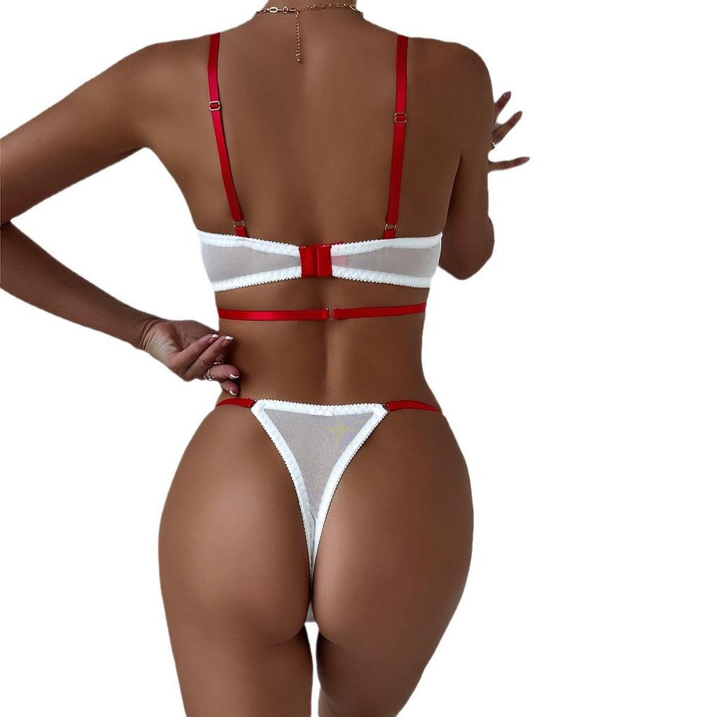 Sexy Color Block Embroidered Lingerie: Transparent Push-Up Two-Piece Set