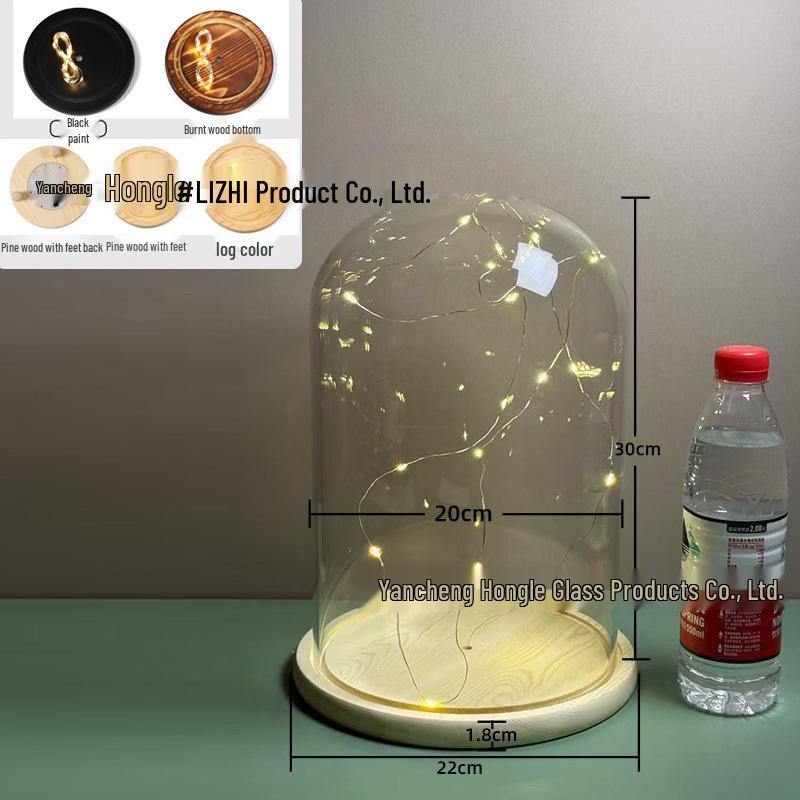 Luminous Sea Urchin Glass Dome with Preserved Flowers and String Lights