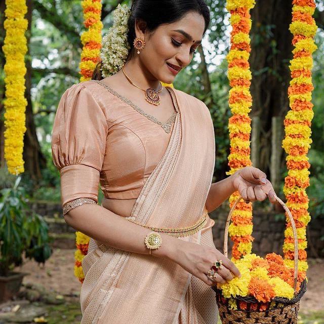 Banarasi Soft Silk Saree