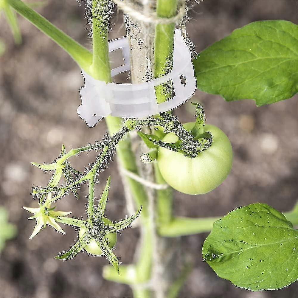 200 Pieces Tomato Plant Clips, Climbing Clips, Garden Plastic Clips, For Vegetables, Plants, Tomatoes-white - Ri