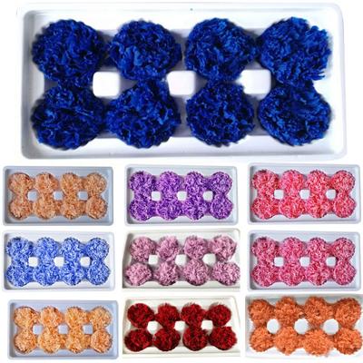 8 Piezas Cabeza de Flor Preservada Clavel Flor Seca Decorativa Caja de Regalo para el Día de la Madre