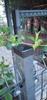 External end cap for profile, cap, roof, 80x40, 10 PCS, BLACK