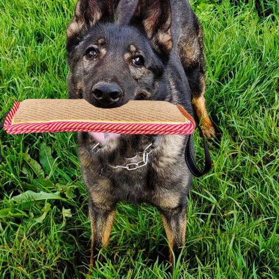 Dog Bite Stick Easy To Grip Interactive Bite Resistant Dog Training Bite Pillow Toy