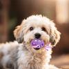 Pet Latex Toy Cartoon Alien Monster - Dog Chew Toy, Bite-Resistant, Squeaky, for Puppies Small Dogs, Teething Cleaning,