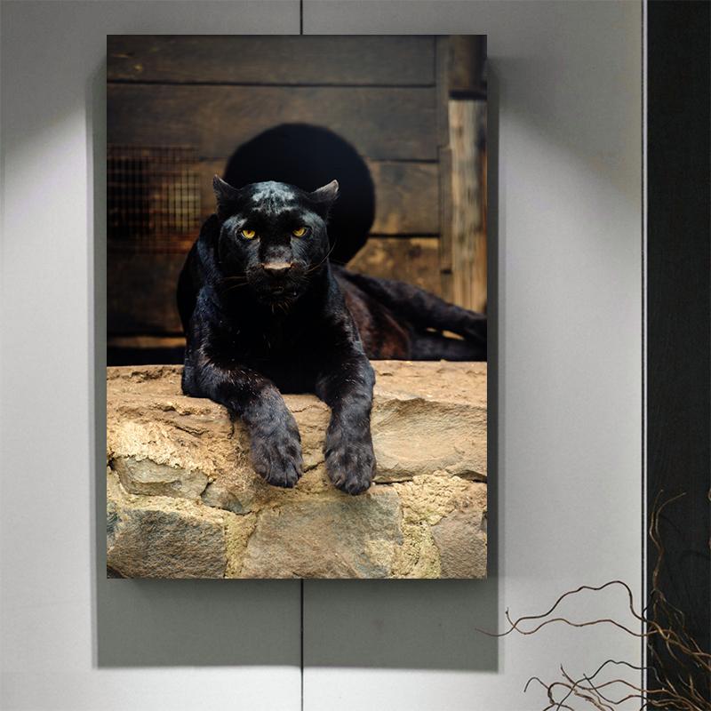Cool Black Panther Wild Animal Staring Canvas Painting Wall Art Wild Cats Jaguar Pictures Posters for Living Room Decoration