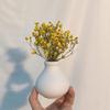 DIY Party Natural Small Mini Pressed Babysbreath Bouquet Dried Flowers Dry Flower Gypsophila