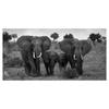 Walking Elephant Home Decoration Canvas Painting Modern Light Luxury Living Room Wall Art Posters High End Picture Print Artwork