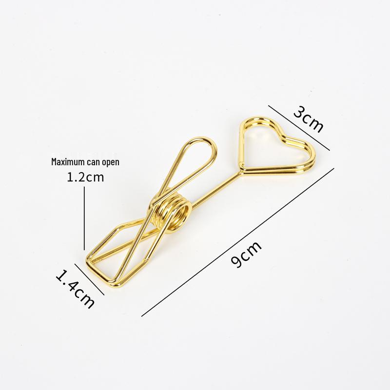 Support Clip Double Face en Acier Inoxydable pour Notes et Photos