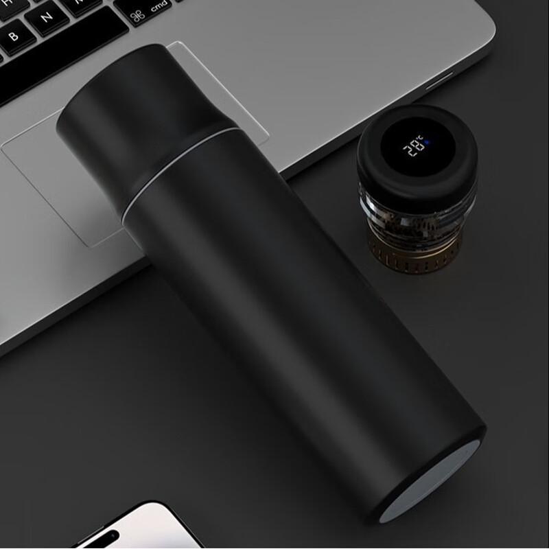 MRSIKEY Smart Temperature Display Titanium Insulated Tea Infuser Bottle