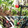 Plastic Adjustable Irrigation Drip Emitter Set With Adjustable Flows For Precise Plant Watering And Water Conservation