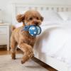 Dog Toy Ball With String , Bouncing Jump Ball, Interactive Pet Play Toy For Boredom & Exercise