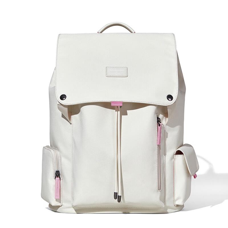 BOSIDANTON Large Capacity Student & Travel Laptop Backpack