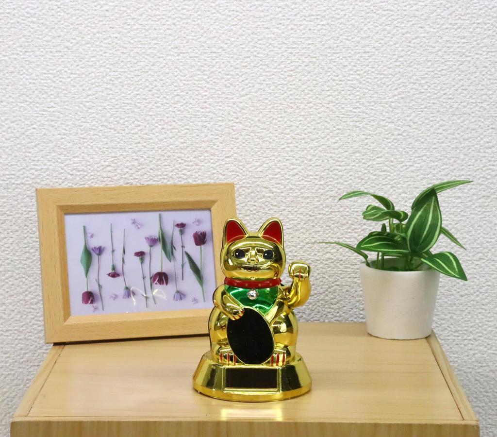 Castle Enterprises Waving Articulating Set of Bulk a Delightful Japanese Souvenir for Comes in a Clear Case Maneki-neko (Small) (Gold) Solar-Powered