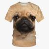Summer Fashion Fun Animal Dog Pattern T-Shirt New Trend Casual 3D Printed Crew Neck Short Sleeve Top
