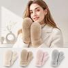 1pair Windproof Plush Gloves Soft Full-Finger Gloves New Winter Mittens  Women