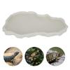 NW29 Plastic Reptiles Feeder Basin Snake Frogs Drinking Feeding Dish Landscape Decorations