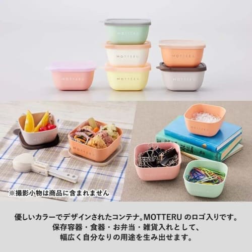 MOTTERU Write-On and Erasable Food Containers, Set of 2 (Peach Orange, 400ml)