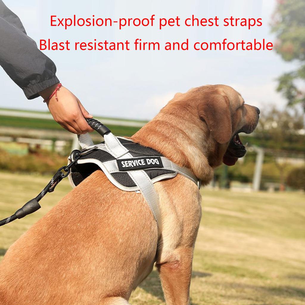 Reflective Dog Harness For Large Dogs No Pull Dogs Harness And Leash Dog Vest