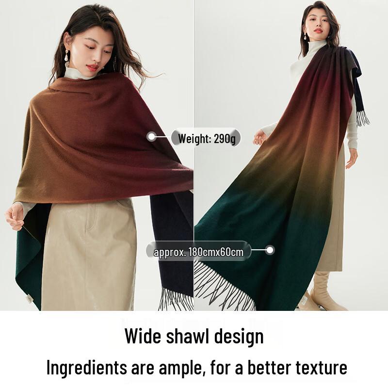 Siggi Gradient Cashmere Scarf for Women