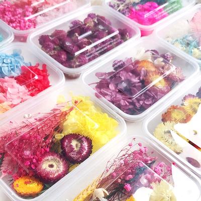1 Box Echte Getrocknete Blumen Trockenpflanzen Für Aromatherapie Kerze Epoxidharz Anhänger Halskette Schmuck Machen Handwerk DIY Zubehör