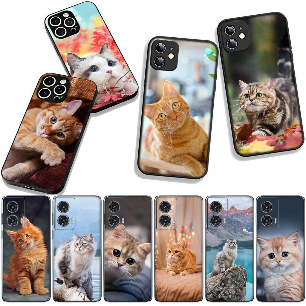 Cover for Motorola Moto G04 G13 G14 G22 G23 G20 G32 G34 G35 G64 G82 G84 G53 G60 G72 E14 E15 E13 E22 E20 Phone Case Kitten Cat